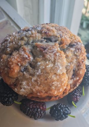 A picture of Wild Mulberry Muffins.