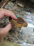 Barritas proteicas