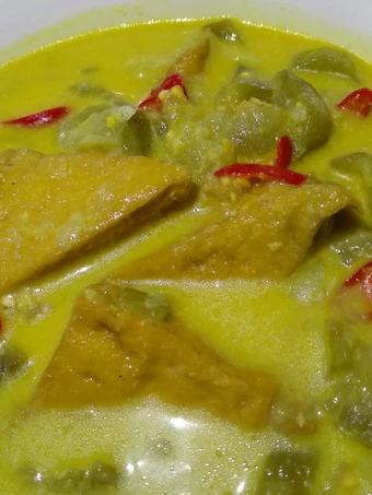 Cara Gampang Menyiapkan Resep Sayur Lodeh Tahu Terong yang Uenak Anti Ribet, Mantap