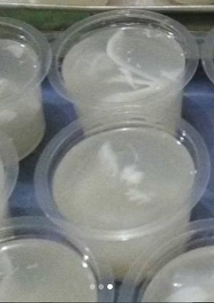 Foto resep Puding Kelapa