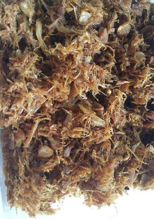 Foto resep Abon nangka muda