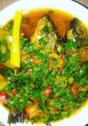 Foto resep Ikan Mas Kemangi Kuah Kuning