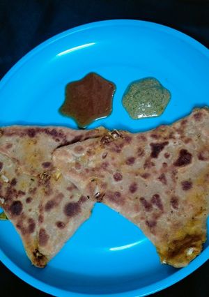लहसुन, मिक्स वेजिटेबल का पराठा (Lahsun mix vegetable ka paratha recipe in hindi) रेसिपी मुख्य फोटो