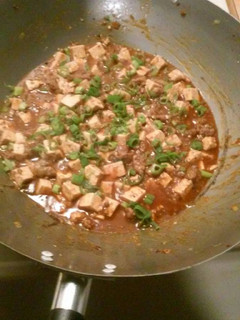 A picture of Mapo Doufu.