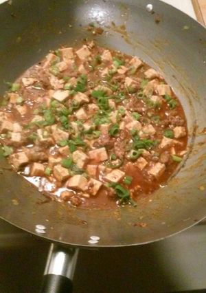 A picture of Mapo Doufu.
