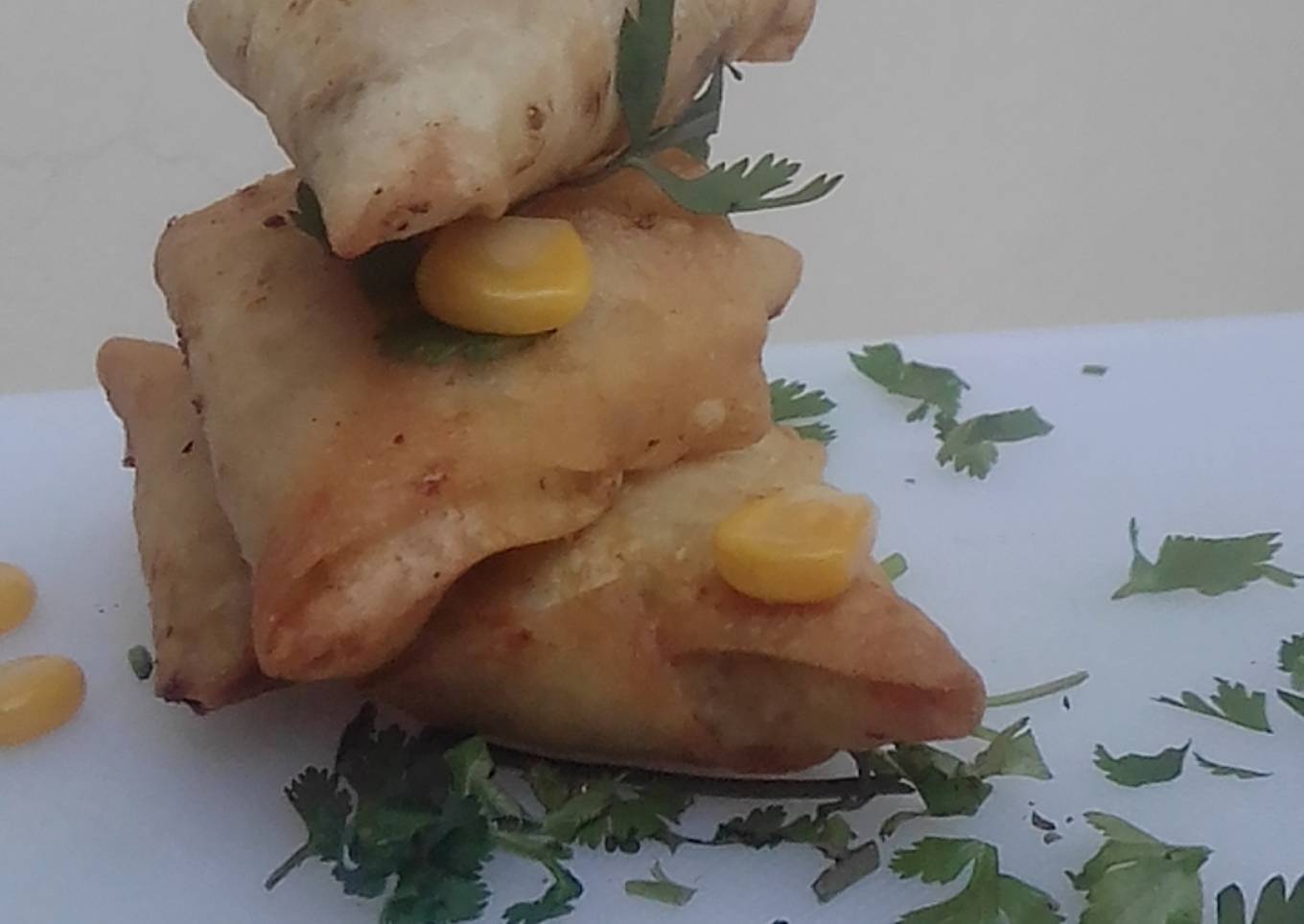 Potato Chicken Samosi