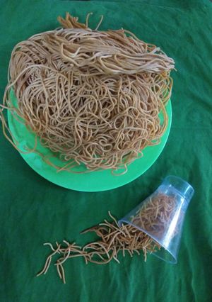 A picture of Bhel Sev.