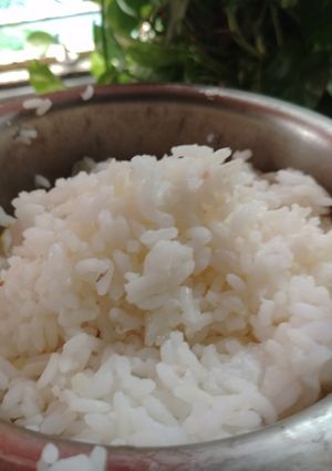 সাদা ভাত (sada bhat recipe in Bengali) রেসিপির প্রধান ছবি