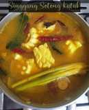 Singgang Sotong Katak