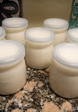 Una foto de Yogur firme y cremoso de vainilla en yogurtera. Yogur base 200 grs