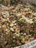 Quinoa Tabbouleh