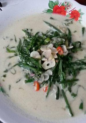 Foto resep Pakis kuah santan