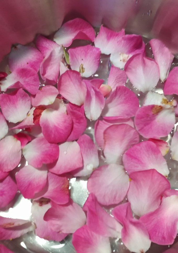 Una foto de Infusión de rosa mosqueta