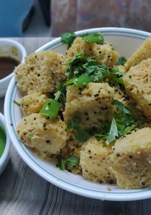 A picture of Mix dal dhokla.