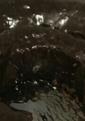 Foto de Bolo de chocolate tradicional