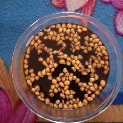 A picture of Sweety water for golgappa.