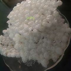 A picture of Saboodana Papad.