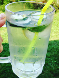 Una foto de Refresco detox -agua saborizada