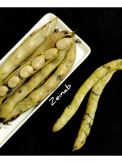 عکسی از دستور باقالی پخته با غلاف