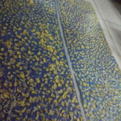 A picture of Home made potato chips.