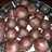 Coconut bites/ Bounty chocolate