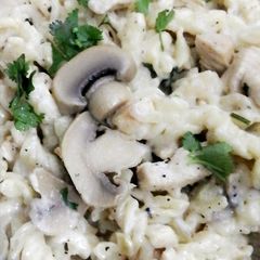 A picture of White Sauce Pasta.