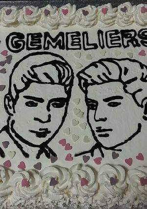 Foto principal de Tarta Gemeliers 🎂
