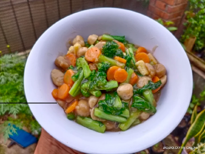 Langkah Mudah untuk Membikin Resep Capcay Bakso yang Bisa Manjain Lidah Anti Ribet, Bisa Manjain Lidah