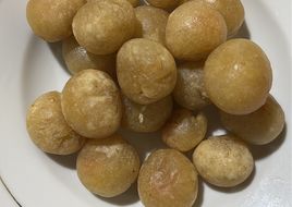 Olos Khas Tegal