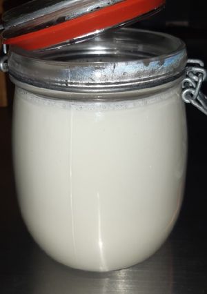 Una foto de Yogurt artesanal