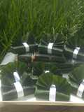 Lemper Abon Magic com