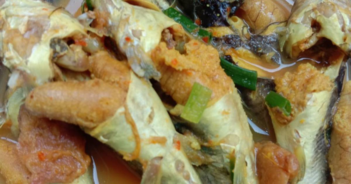 Mengenal Ikan Lundu Ikan Dan Laut