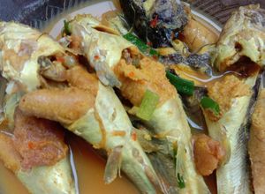 Foto resep Asem asem ikan lundu (kelo kuning khas lamongan)