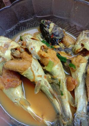 Foto resep Asem asem ikan lundu (kelo kuning khas lamongan)