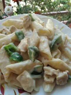হোয়াইট সস পাস্তা (white sauce pasta recipe in Bengali) রেসিপির প্রধান ছবি