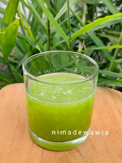 Foto resep Jus Sehat - Melon Mentimun