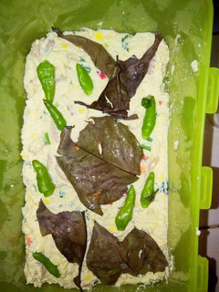 Foto resep Tahu kukus isi Usus