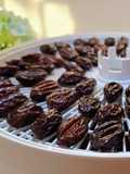 The Best Homemade Prunes from Fresh Plums! My Tried-and-Tested Dehydrator Recipe