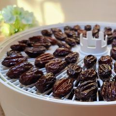 A picture of The Best Homemade Prunes from Fresh Plums! My Tried-and-Tested Dehydrator Recipe.