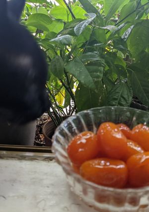 蜜釀金桔 的食譜成品照片