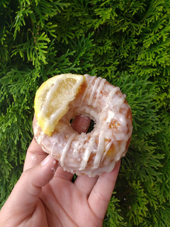 A picture of Vegan and GF donuts.