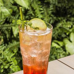 A picture of Pomegranate mojito.