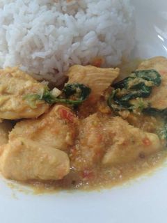 Foto resep 37. Ayam Woku
