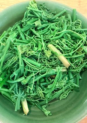 【炒】龍鬚菜 的食譜成品照片