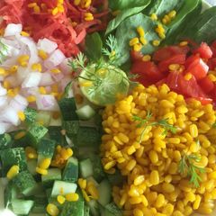 A picture of Moong dal salad.