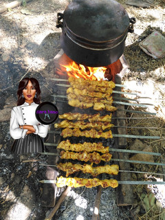 عکسی از دستور جوجه کباب