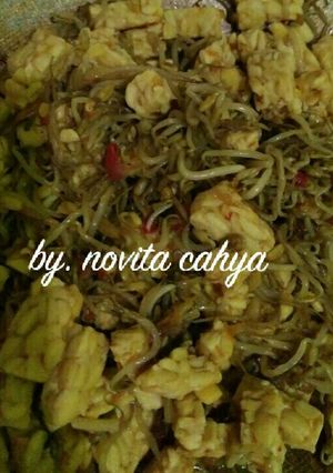 Foto resep Sayur tauge dan tempe