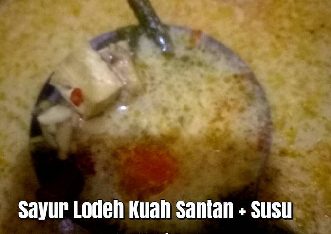 Resep Sayur Lodeh Kuah Santan + Susu yang Menggugah Selera