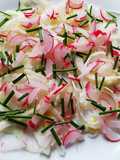 Fennel Salad with Radishes, Chives, and Pink Peppercorns