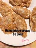 Dumplings de Pollo